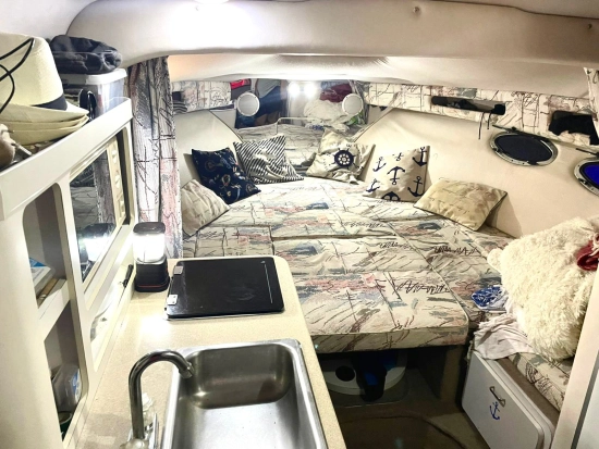 Crownline 250 CR de segunda mano en venta