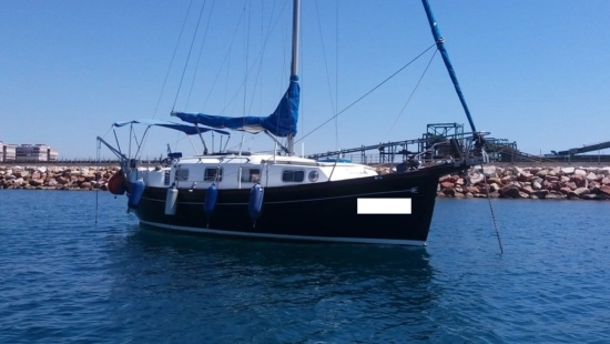 Myabca Delfin 31 preowned for sale