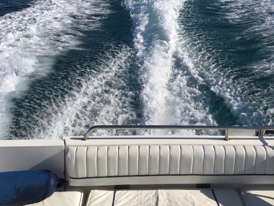 Faeton 780 Sport de segunda mano en venta