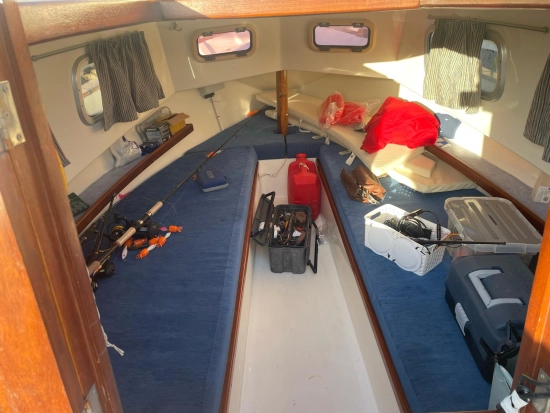 Morato Llaut 6 de segunda mano en venta