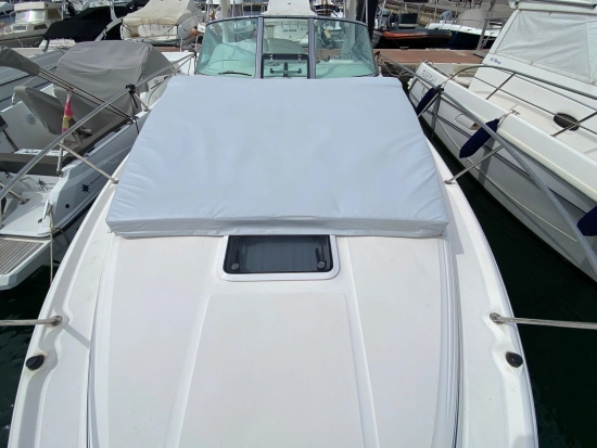 Sea Ray Sundancer 335 de segunda mano en venta