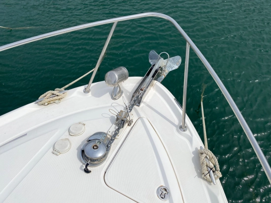 Sea Ray Sundancer 335 de segunda mano en venta