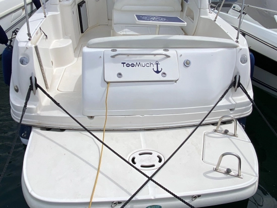 Sea Ray Sundancer 335 de segunda mano en venta