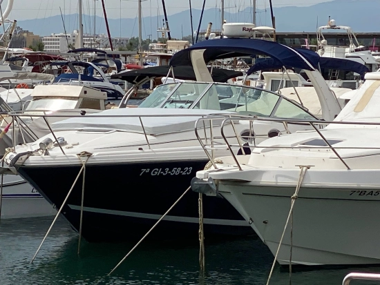 Sea Ray Sundancer 335 de segunda mano en venta