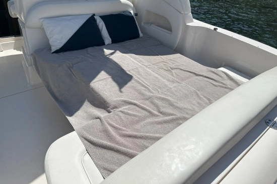 Sea Ray Sundancer 335 de segunda mano en venta