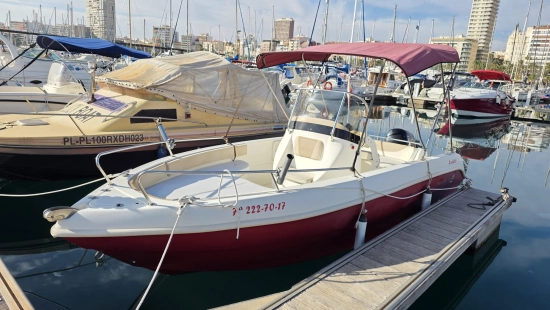 ALLEGRA ALL 19 OPEN usata in vendita