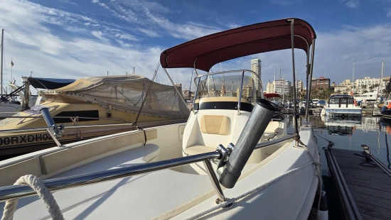 ALLEGRA ALL 19 OPEN usata in vendita