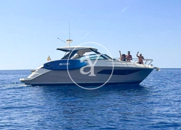 Sea Ray Sundancer 320 de segunda mano en venta