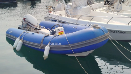 Pro Line Boats HSF 420 usata in vendita