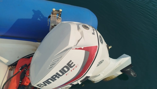 Pro Line Boats HSF 420 usata in vendita