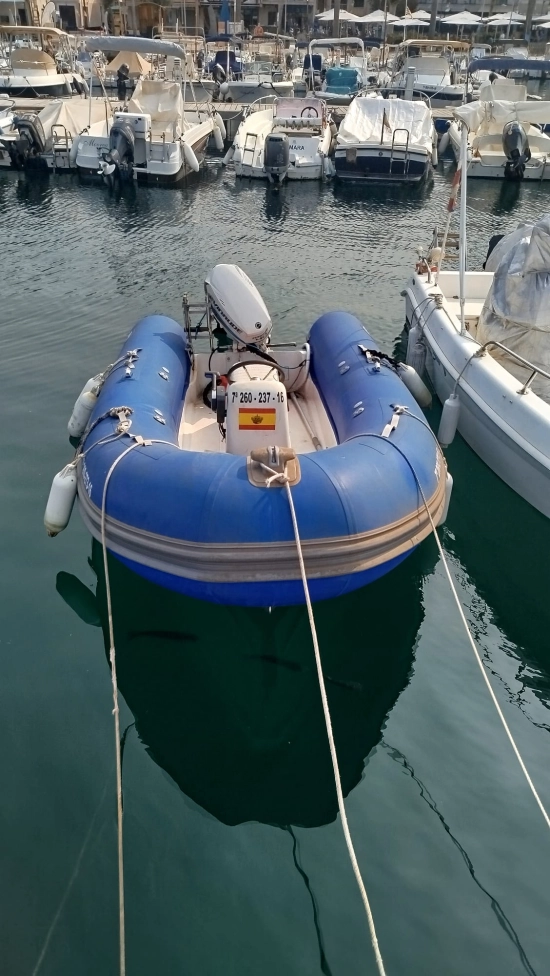 Pro Line Boats HSF 420 usata in vendita