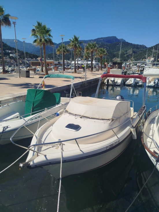 Ocqueteau Abaco 20 usata in vendita