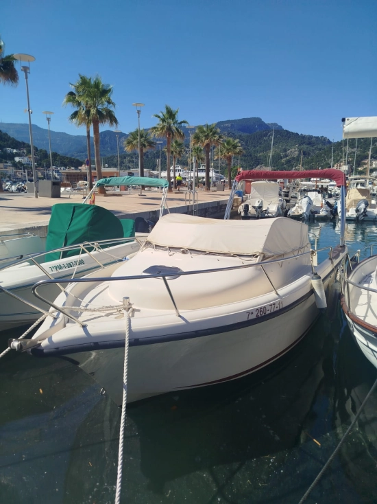 Ocqueteau Abaco 20 usata in vendita