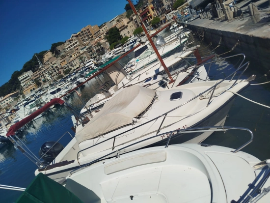 Ocqueteau Abaco 20 usata in vendita