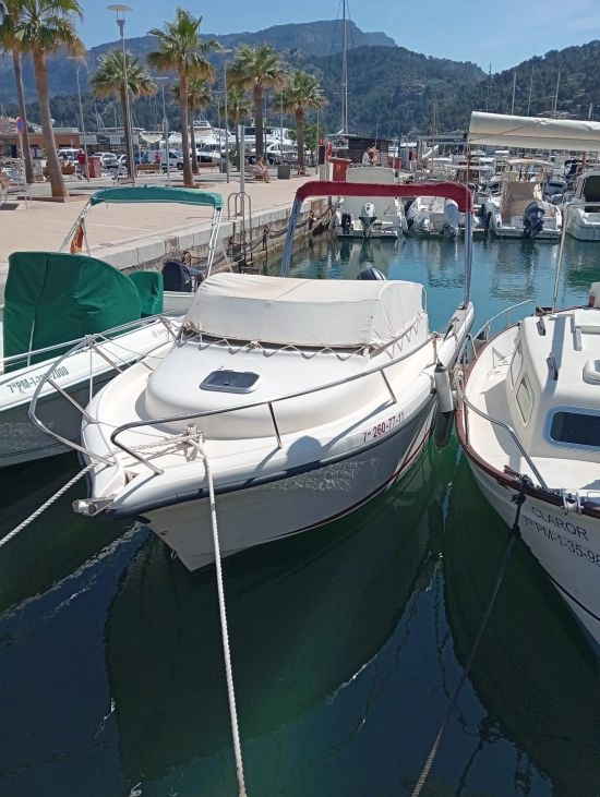 Ocqueteau Abaco 20 usata in vendita