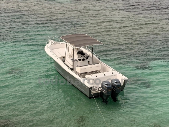 White Shark 265 usata in vendita