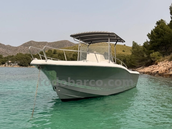 White Shark 265 usata in vendita