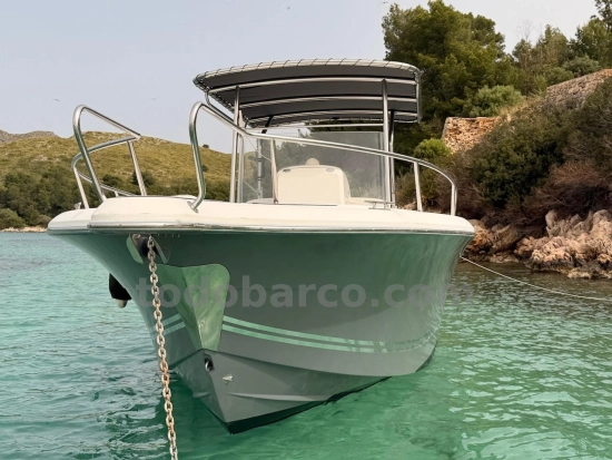 White Shark 265 usata in vendita
