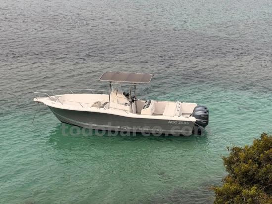 White Shark 265 usata in vendita