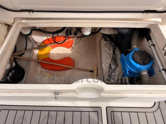 White Shark 265 usata in vendita