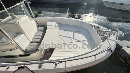 White Shark 265 usata in vendita