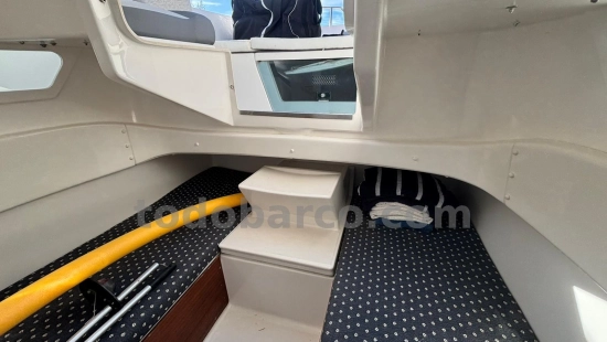 White Shark 265 usata in vendita