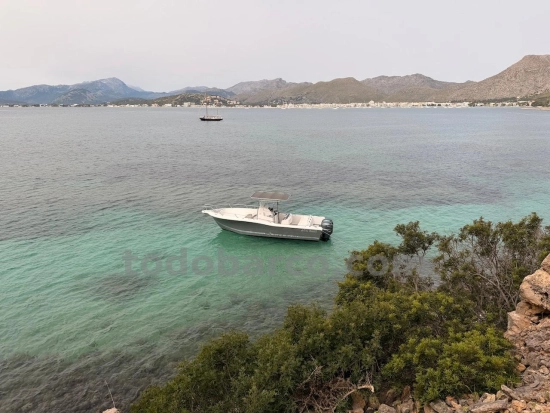White Shark 265 usata in vendita
