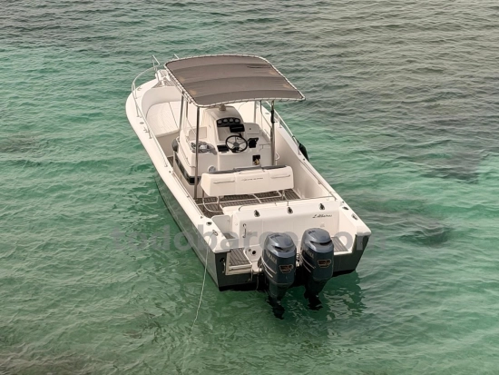 White Shark 265 usata in vendita