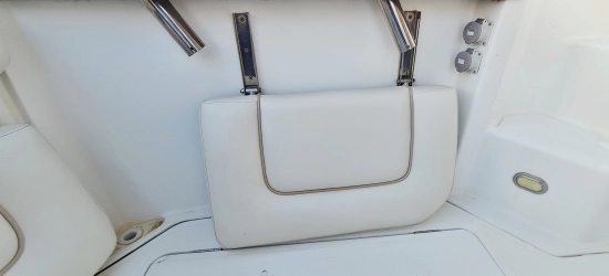 Faeton Moraga 850 de segunda mano en venta