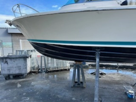 Riva fisherman 25 de segunda mano en venta