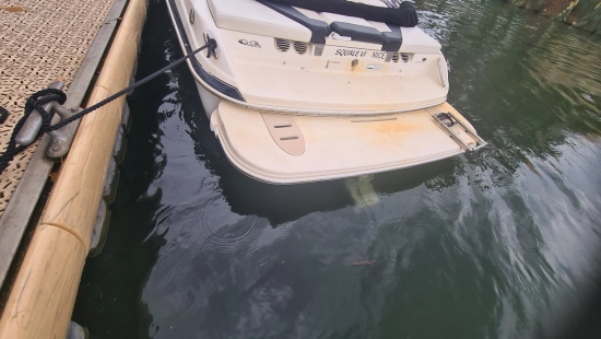 Glastron 225 gt de segunda mano en venta