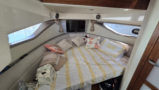 Sea Ray Sundancer 320 usado à venda
