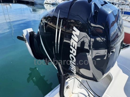Wellcraft 242 Fisherman de segunda mano en venta