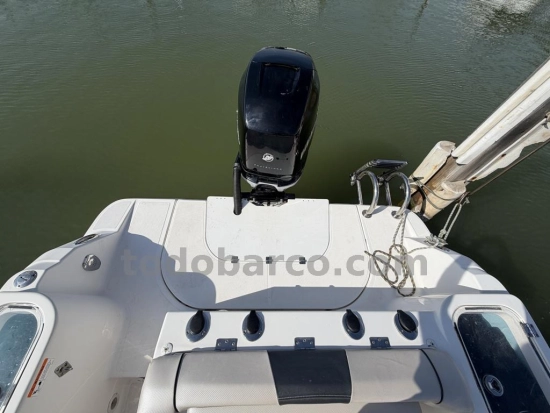 Wellcraft 242 Fisherman de segunda mano en venta