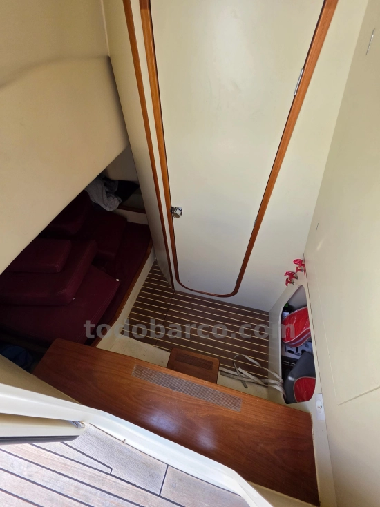 Rhea marine 35 Open de segunda mano en venta
