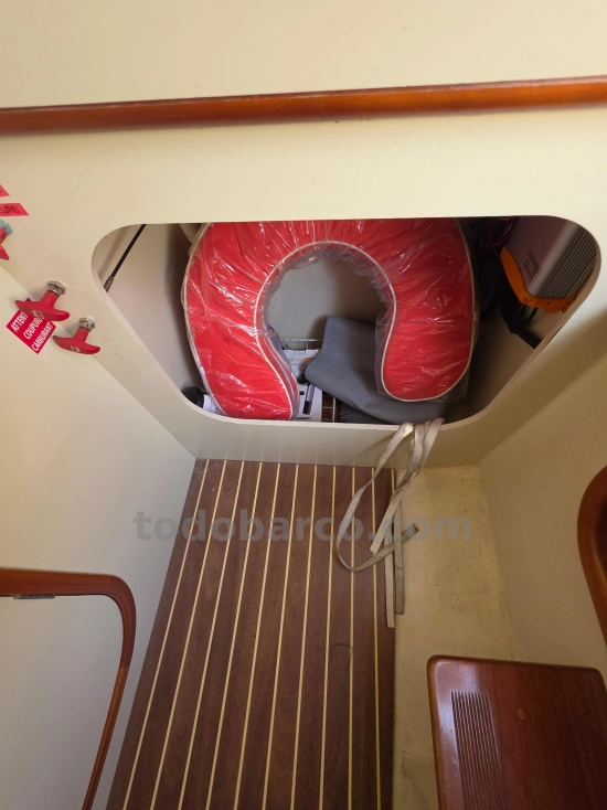 Rhea marine 35 Open de segunda mano en venta