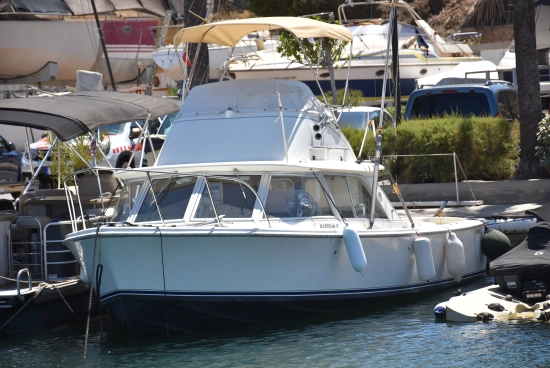 Bertram 31 Cruiser Fly de segunda mano en venta