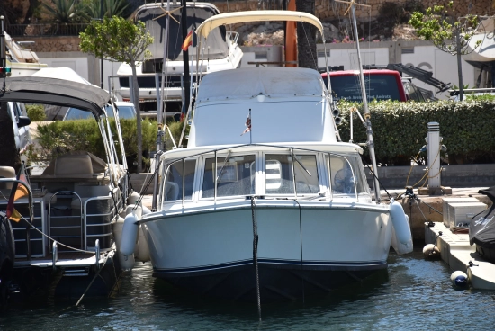 Bertram 31 Cruiser Fly de segunda mano en venta