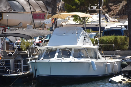 Bertram 31 Cruiser Fly de segunda mano en venta