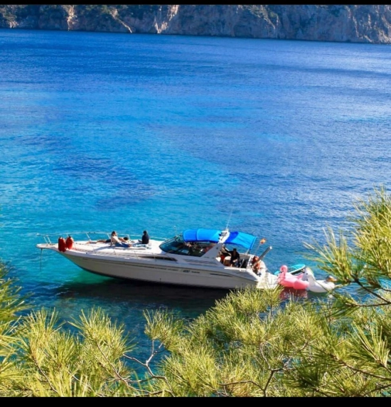 Sea Ray 400 Sport Cruiser de segunda mano en venta