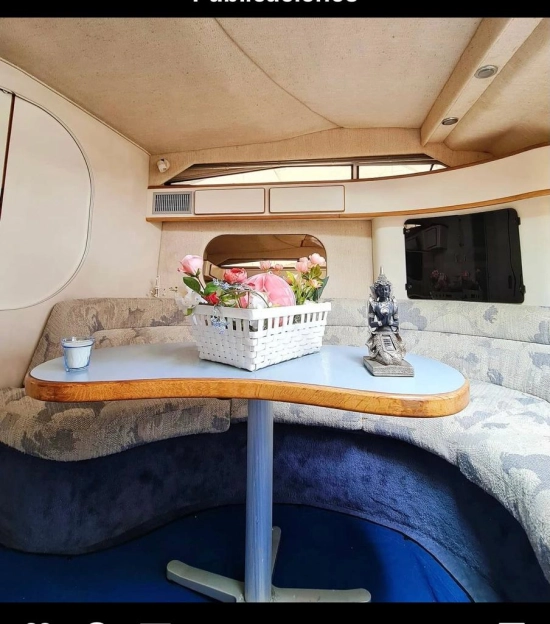 Sea Ray 400 Sport Cruiser de segunda mano en venta