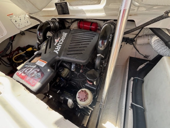 Crownline 270 BR OPEN usata in vendita