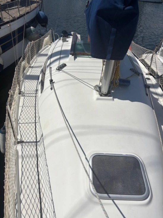 Astraea 260 cruising de segunda mano en venta