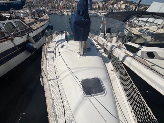 Astraea 260 cruising de segunda mano en venta