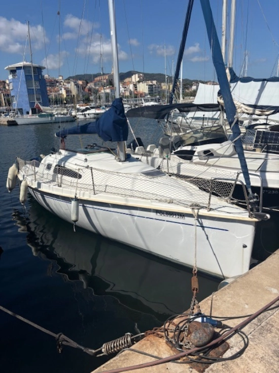 Astraea 260 cruising de segunda mano en venta
