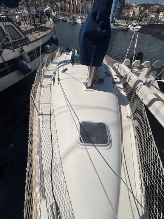 Astraea 260 cruising de segunda mano en venta