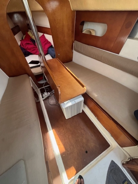 Astraea 260 cruising de segunda mano en venta