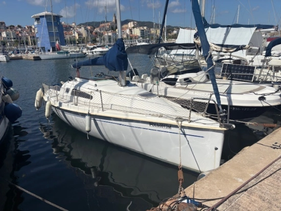 Astraea 260 cruising de segunda mano en venta