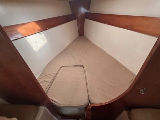 Astraea 260 cruising de segunda mano en venta