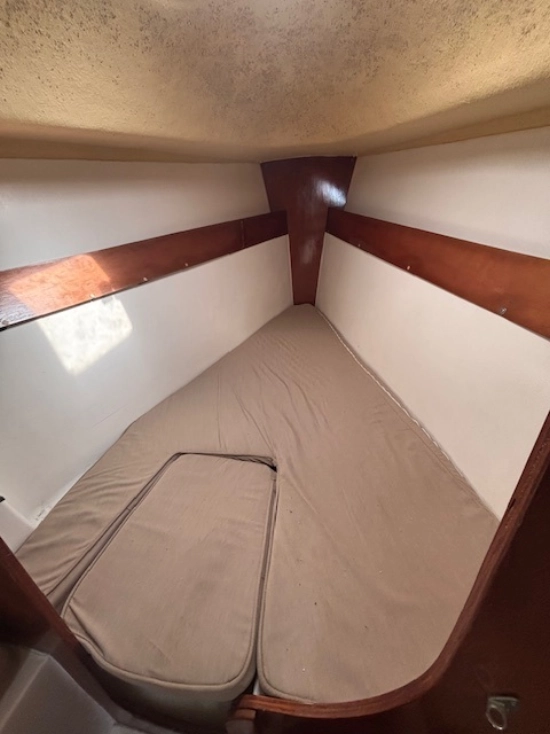 Astraea 260 cruising de segunda mano en venta